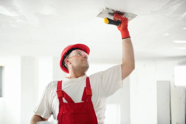 Best Ceiling Drywall Installation  in Marshallton, PA